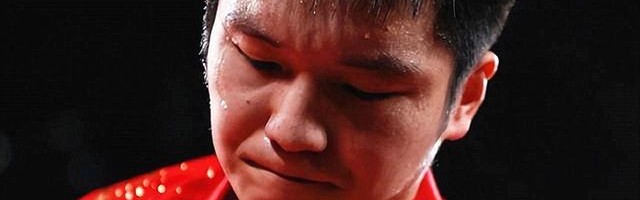 半岛·体育-美媒日媒纷纷表态，公开锐评樊振东！不同语言，话锋却高度一致_新浪新闻