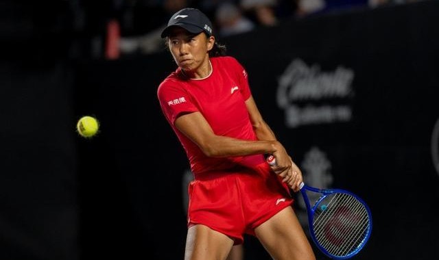 半岛体育官网-张帅0-2不敌雅斯特雷姆斯卡，无缘印第安维尔斯次轮