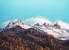 星空体育app：用科技点亮你的运动之路