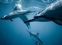 星空体育app：用科技点亮你的运动之路